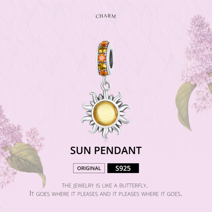 SCC2210_01 SCC2210_01