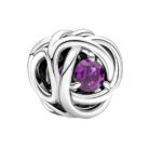 Сребърен талисман Февуари1