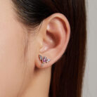 SCE1179-(4)